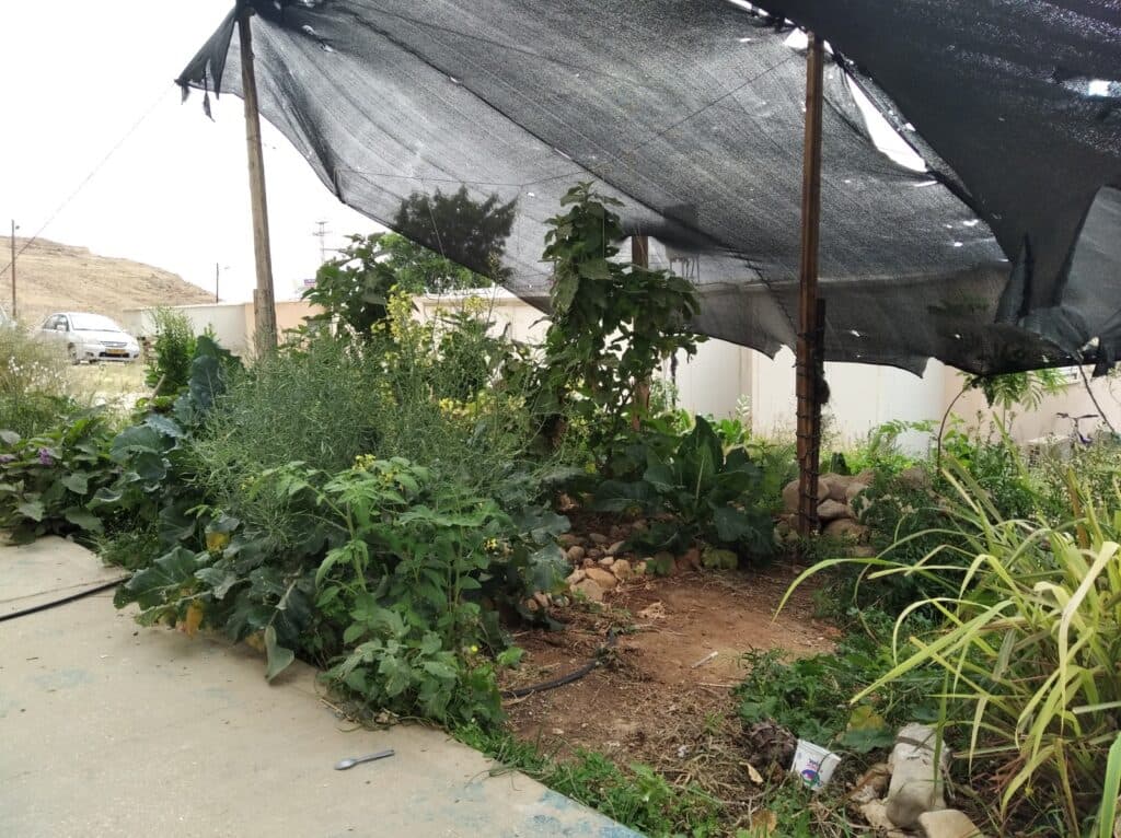 WhatsApp Image 2025-02-04 at 19.29.10.jpeg