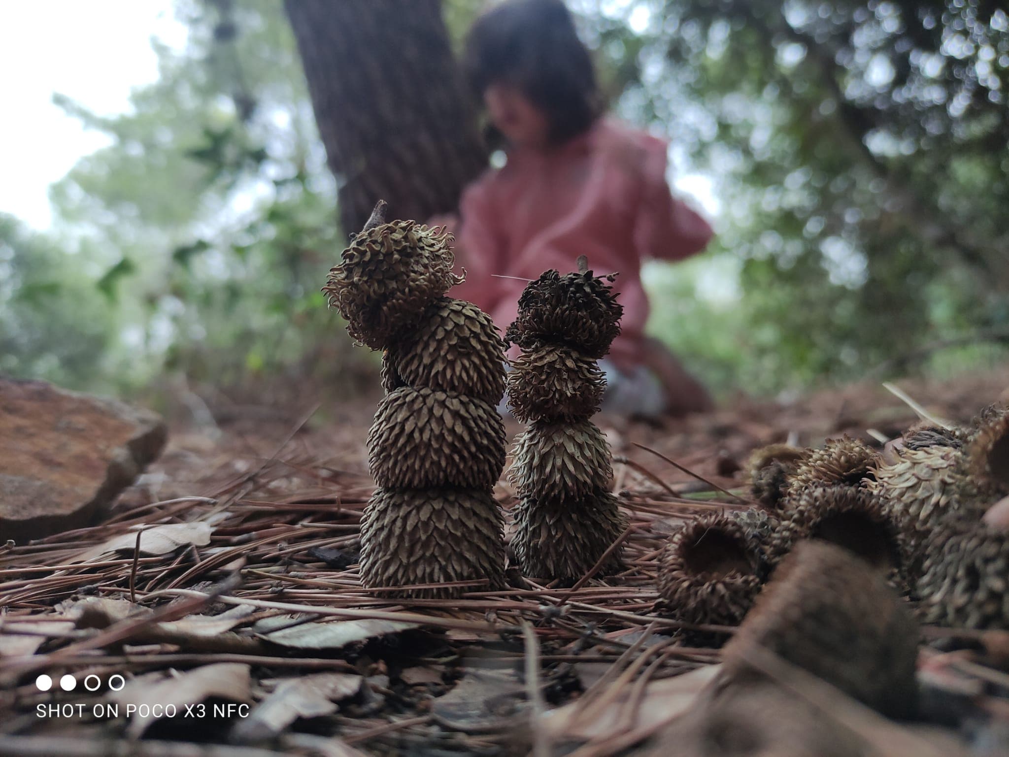 WhatsApp Image 2025-02-04 at 19.29.18.jpeg